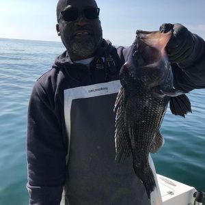 Meet your Posher, Frantz